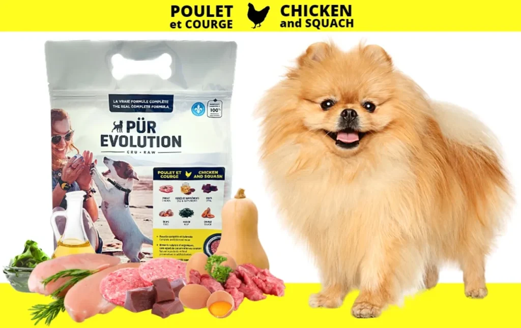 Poulet & Courges