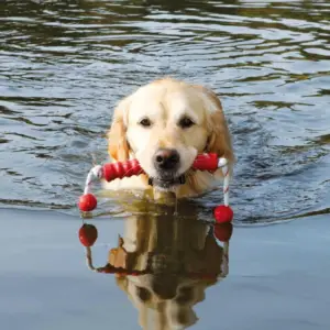 Bâton Flottant Caoutchouc Naturel - Trixie