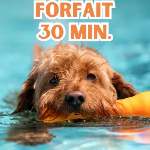 FORFAIT BAIGNADE ( 30 min. )