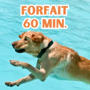 FORFAIT BAIGNADE ( 60 min. )