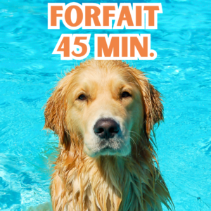 FORFAIT BAIGNADE ( 45 min. )